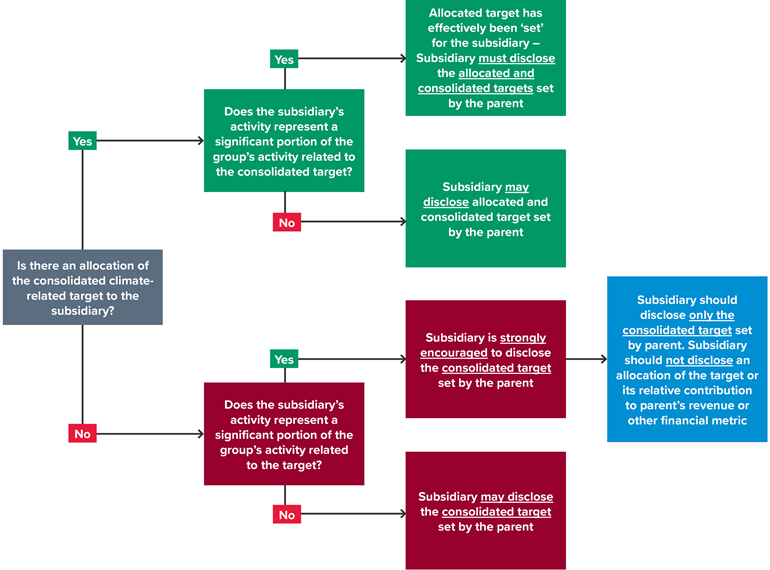 the effect of consolidated targets on standalone subsidiary sustainability reporting